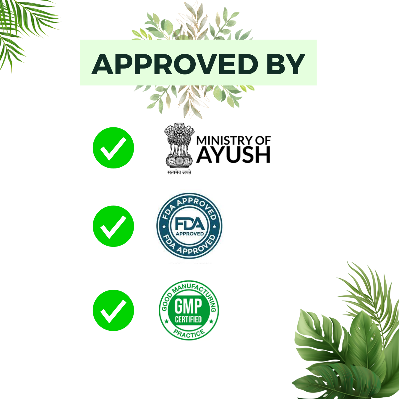 Piles Combo Pack ( Churan+Oil+Capsule) - Image 3